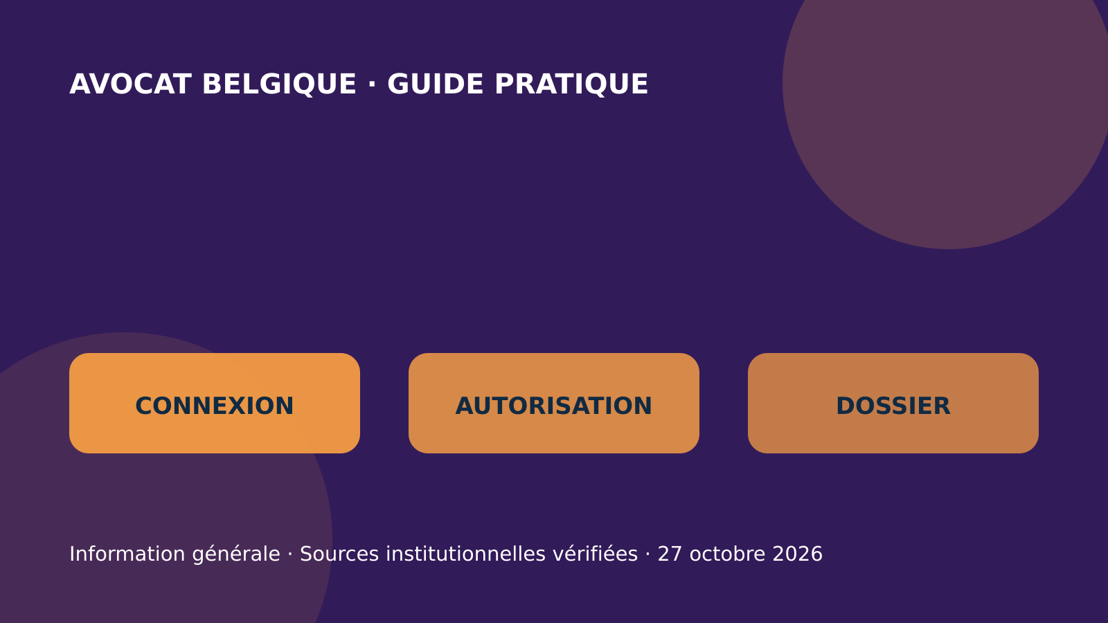 Infographie originale sur la connexion sécurisée, la demande d’accès et la consultation du dossier judiciaire